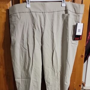 Briggs New York Light Tan Pants